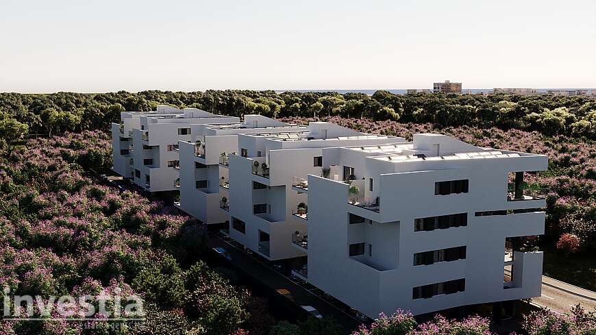 1 Bdrm apts/Dhekelia rd