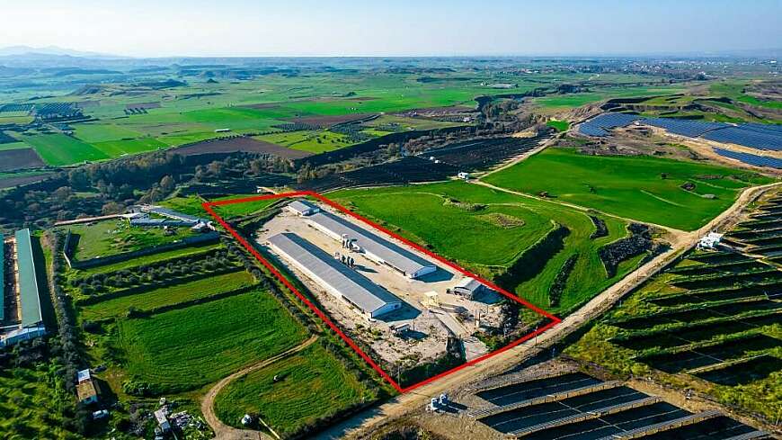 Field with a poultry farm in Agios Ioannis Malountas, Nicosia