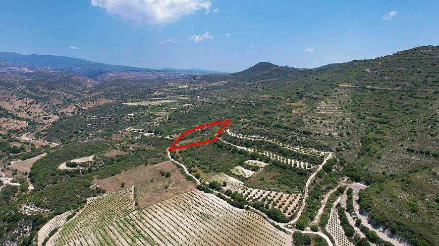 Agricultural field in Pachna, Limassol