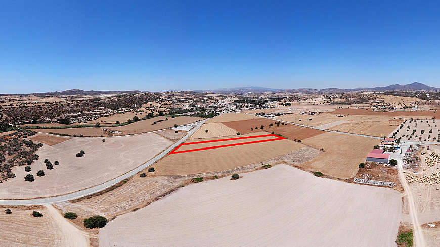 Share of Field in Alaminos, Larnaca