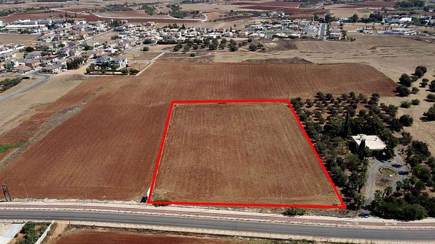 Shared field in Avgorou, Famagusta