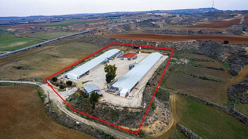 Field with a poultry farm in Agios Ioannis Malountas, Nicosia