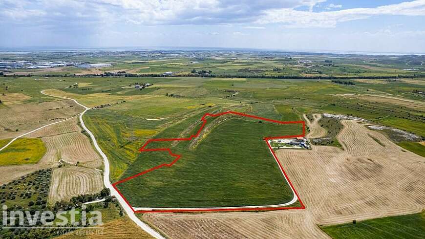 Agricultural field in Kalo Chorio, Larnaca