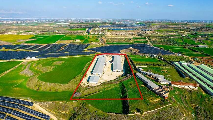 Field with a poultry farm in Agios Ioannis Malountas, Nicosia