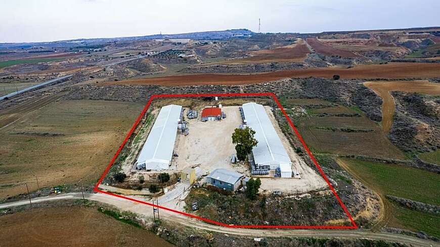 Field with a poultry farm in Agios Ioannis Malountas, Nicosia