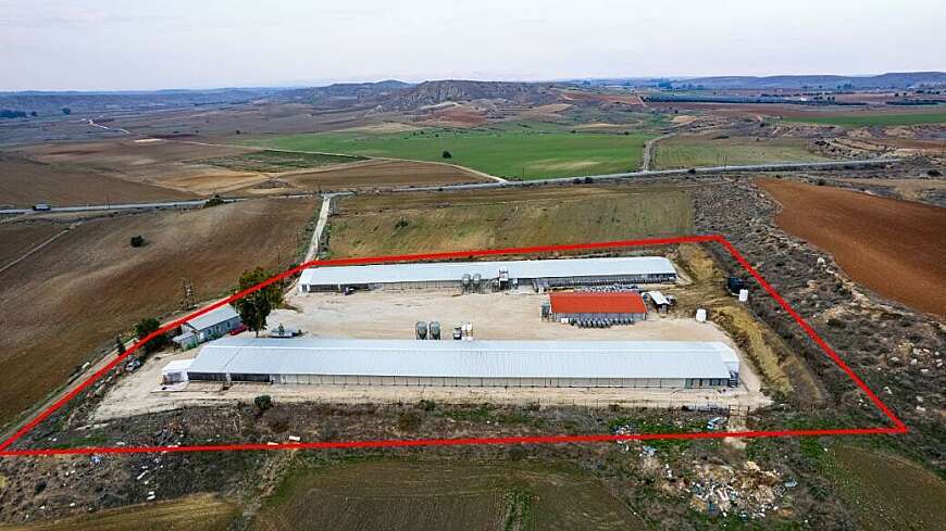 Field with a poultry farm in Agios Ioannis Malountas, Nicosia