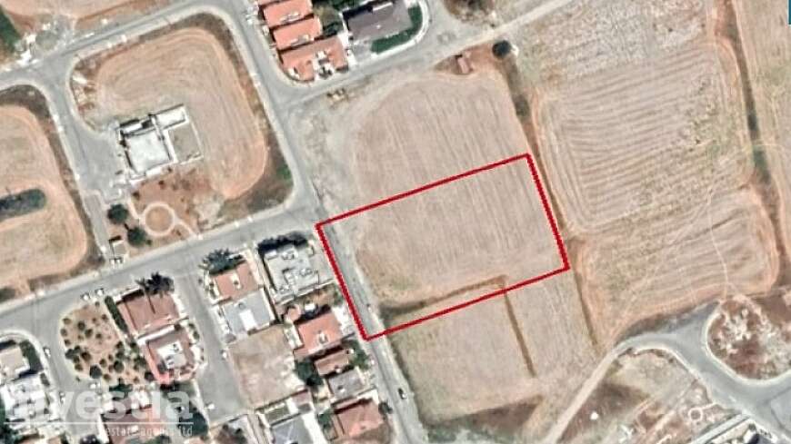 Field in Aradippou, Larnaca