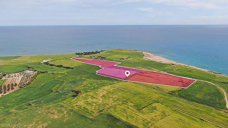 Seaview Field in Mazotos, Larnaca