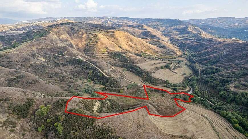 Shared agricultural field in Giolou, Paphos