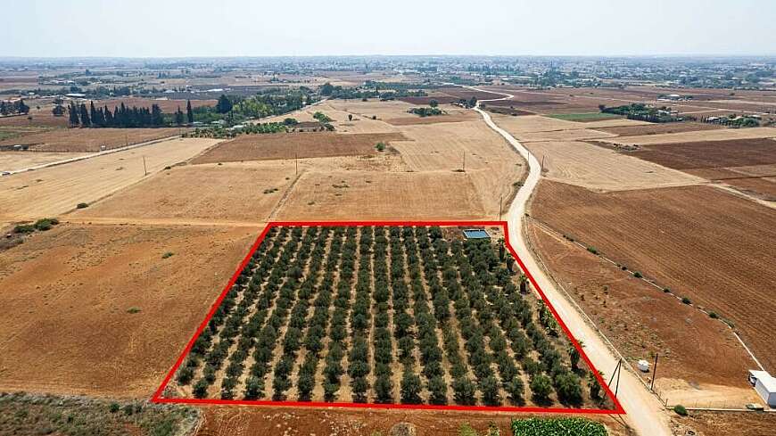 Agricultural field in Avgorou, Famagusta