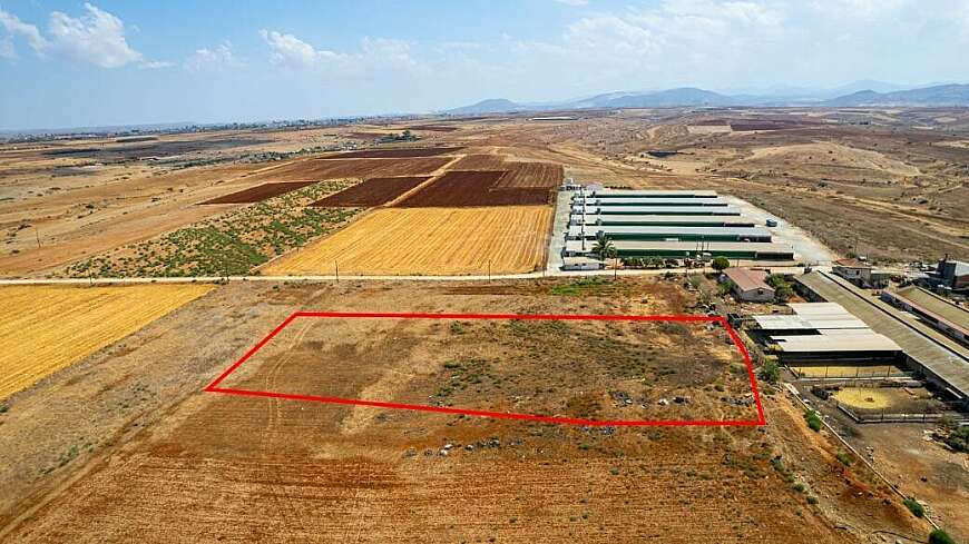 Agricultural field in Peristerona, Nicosia