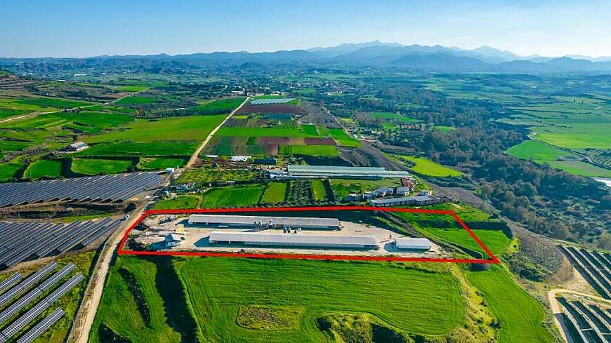 Field with a poultry farm in Agios Ioannis Malountas, Nicosia