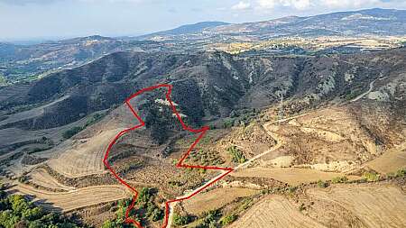 Shared agricultural field in Giolou, Paphos