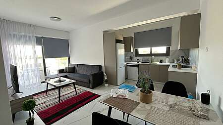 1 bdrm apt/Dhekelia rd