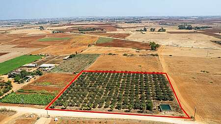 Agricultural field in Avgorou, Famagusta