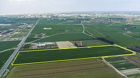 Four Agricultural Fields  at SOFTADES / LARNACA