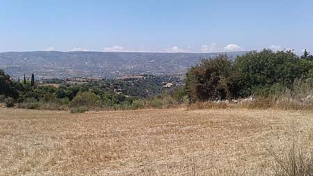 Field in Drymou, Paphos