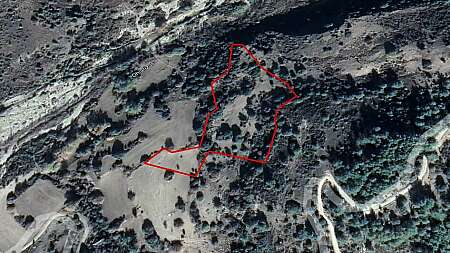 Field in Prastio, Paphos