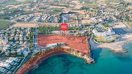 FIeld - Pegeia, Paphos