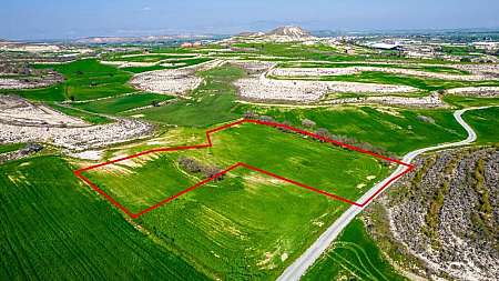 Shared field in Athienou, Larnaca