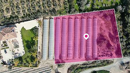 Land for sale/Agios Theodoros