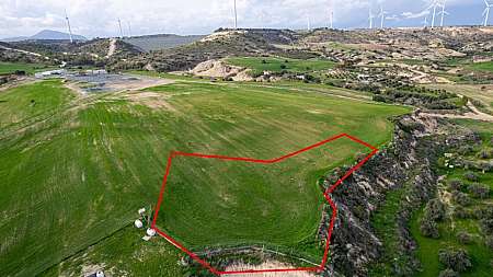 Shared field in Tersefanou, Larnaca