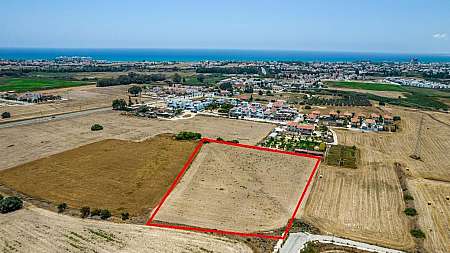 Shared field in Pyla, Larnaca