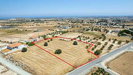 Residential field in Anafotida, Larnaca