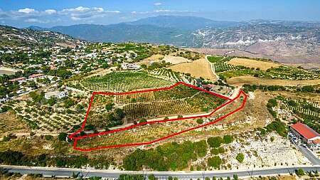 Shared residential fields in Statos, Paphos