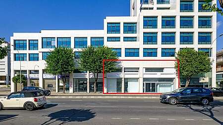 Office in Agioi Omologites, Nicosia