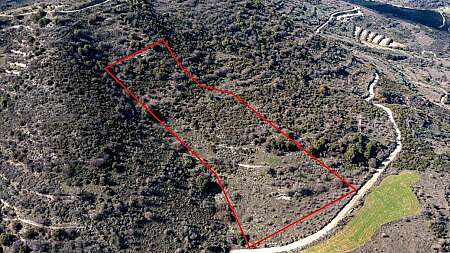 Field in Dora, Limassol