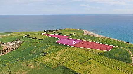 Seaview Field in Mazotos, Larnaca