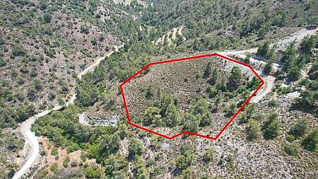 Agricultural field in Gerasa, Limassol