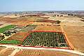 Agricultural field in Avgorou, Famagusta