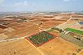 Agricultural field in Avgorou, Famagusta