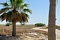 Land for sale/Mazotos