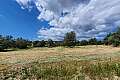 Land for sale/Alethrico