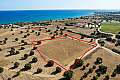 Tourist field in Agios Theodoros, Larnaca