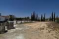 5 bdrm villa for rent/Pyla