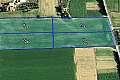 Four Agricultural Fields  at SOFTADES / LARNACA