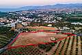 Field in Polis Chrysochous, Paphos
