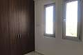 3 bdrm penthouse apt/center