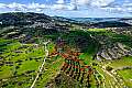 Residential fields in Dora, Limassol