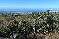Land for sale/ Pafos - Tremithousa