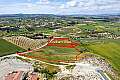 Shared residential field in Anafotida, Larnaca