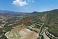 Agricultural field in Pachna, Limassol