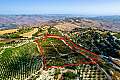 Shared residential fields in Statos, Paphos