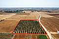 Agricultural field in Avgorou, Famagusta