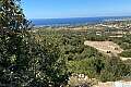 Land for sale/ Pafos - Tremithousa